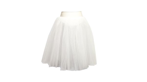 Picture of Romantic Tutu Small (Merged)